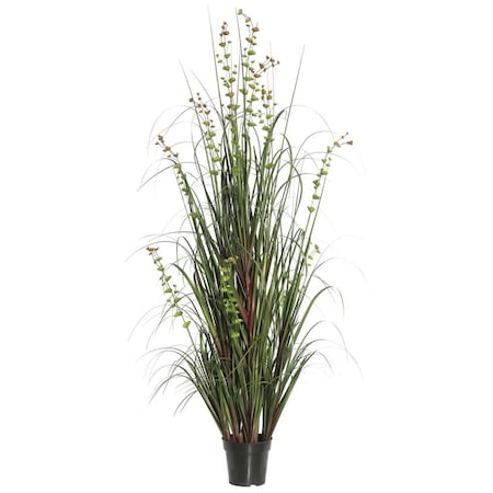 Vickerman 60 in. Eucalyptus Grass Potted TN170260