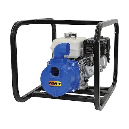 Amt Pumps Engine Driven Pump, Cast Iron, 5 hp 316F-95