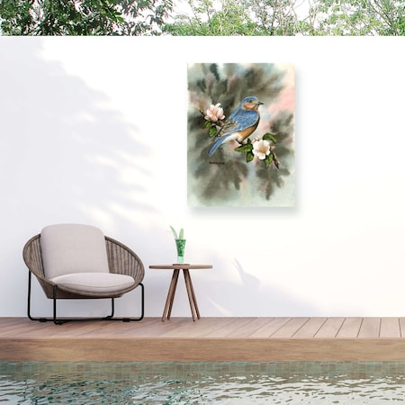 Trademark Fine Art Outdoor Canvas Art Dave Bartholet 'Bluebird' Wall Art for Patios, or Gardens GRL01494-OC2432WR