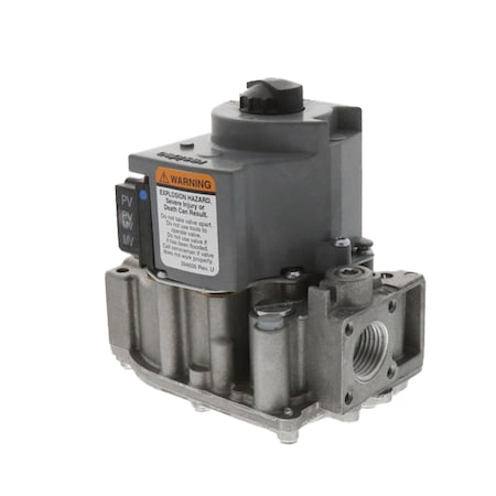 Raypak 24v Nat Combination Gas Valve 014867F