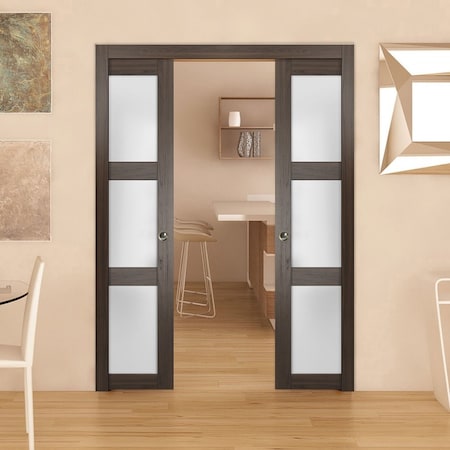 Sartodoors Sliding French Double Pocket Doors with Frosted Glass 60x80 (2* 30x80) Solid Core Modern Interior QUADRO4002DP-CA-60