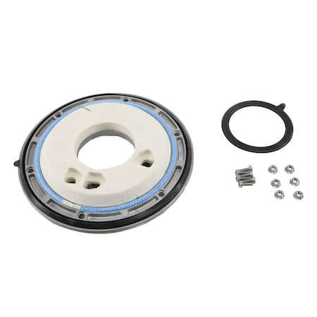 Raypak BURNER DOOR 013159F