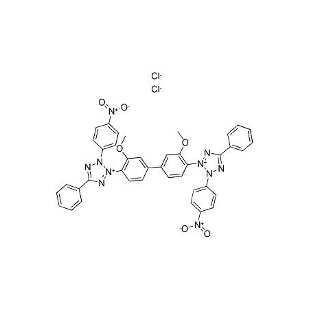 Ak Scientific Nitro blue tetrazolium chloride (5g), CAS 298-83-9 M768-5g