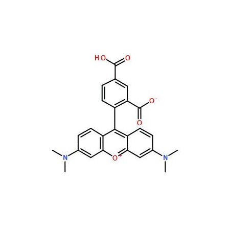 Ak Scientific 5-TAMRA (25mg), CAS 91809-66-4 5493AC-25mg