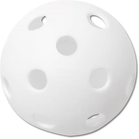 Ssg / Bsn Plastic Training Ball 12 Inch Softball 1033618