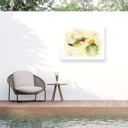 Trademark Fine Art Outdoor Canvas Art Dave Bartholet Cactus Flyby Wall Art for Patios, or Gardens GRL00240-OC2432WR