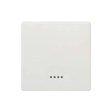 Siemens DELTA style, platinum metallic Rocker switch with window, 68x 68 mm for pilot 5TG7140-1