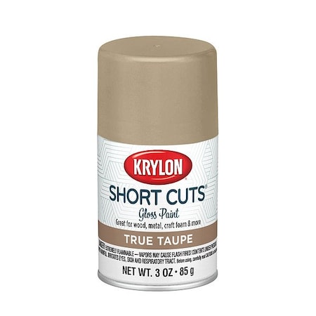 Krylon Spray Paints - Craft & Hobby Spray Paint KSCS072