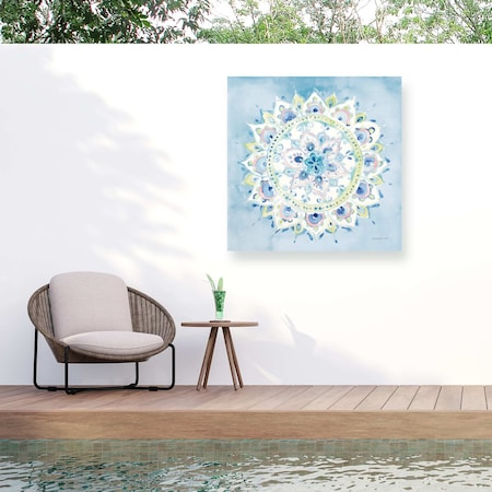 Trademark Fine Art Outdoor Canvas Art Danhui Nai 'Jaipur VIII' Wall Art for Patios, or Gardens WAP33489-OC1414WR