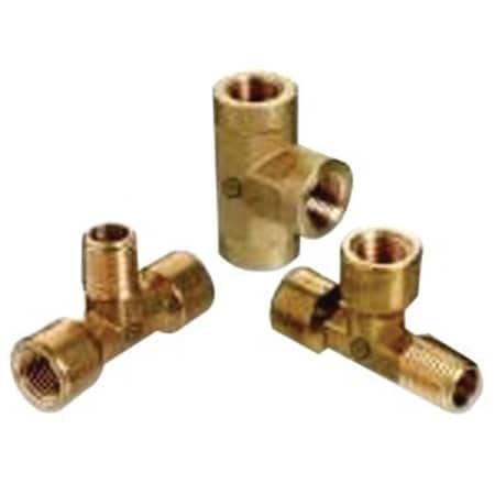 Homestead Tee Fem Outlets HO910871