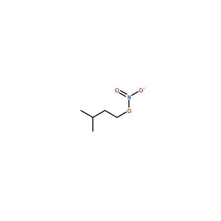 Ak Scientific Isoamyl nitrate (5g), CAS 543-87-3 7332AF-5g