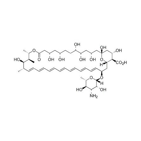 Ak Scientific Amphotericin B, ≥750µg/mg (100mg), CAS 1397-89-3 L970-100mg