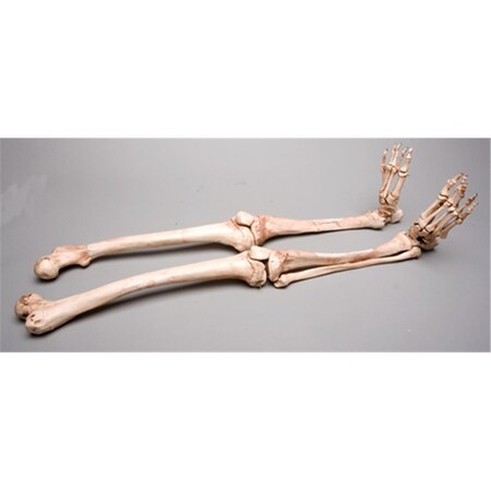 Toys4.0 Aged Left Skeleton Leg TO2652384