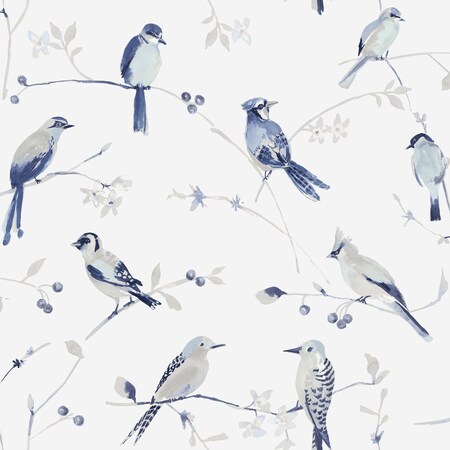 Chesapeake Birdsong Blue Trail Wallpaper 3124-13852