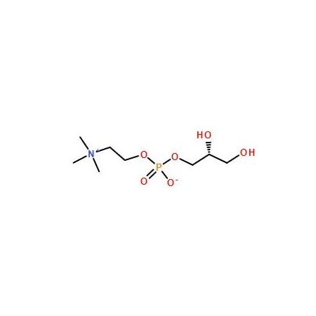 Ak Scientific Choline alfoscerate (25g), CAS 28319-77-9 O174-25g