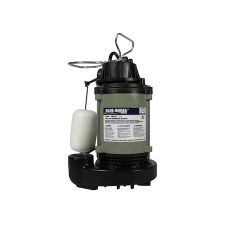 Wayne Sump Pump Blue Angel 1/3 HP 4,620 gph Cast Iron Vertical Float Switch AC Submersible F33CISDS