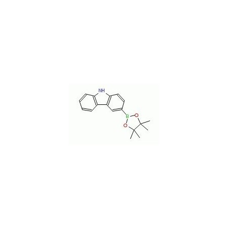 Ak Scientific 3-(4, 4, 5, 5-Tetramethyl-1, 3, 2-dioxaborolan-2-yl)-9H-carbazole (5g), CAS 855738-89-5 Y2057-5g