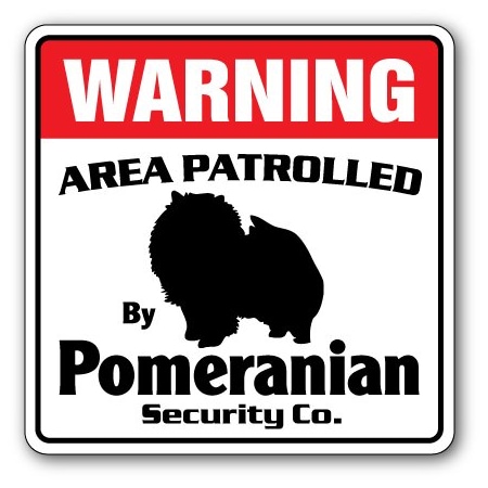 Signmission Pomeranian, 8 Inch X 8 Inch, Decal D-8-WD-POMERANIAN