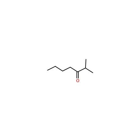 Ak Scientific 2-Methylheptan-3-one (1g), CAS 13019-20-0 5543AA-1g