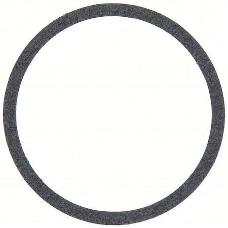 Armstrong Gasket Body 106049-000