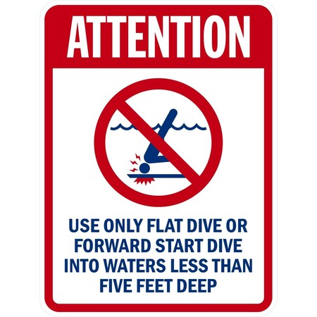 Lyle Attention, Only Flat Dive or Forward Start Dive into, 18x24, High Intensity Prismatic, White G-10427-HI_18x24
