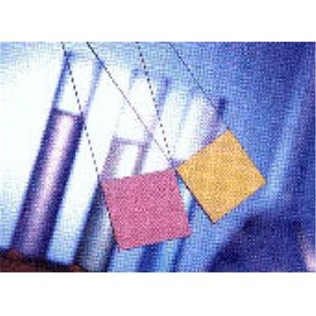 Endless Games Plain Slides EN204190