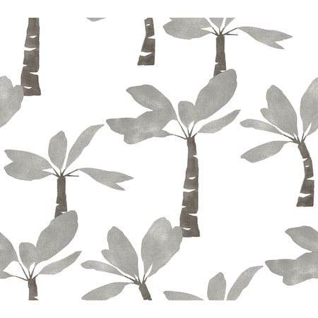 York Wallcoverings Painted Oasis Carbon and Graphite Wallpaper ZM2838
