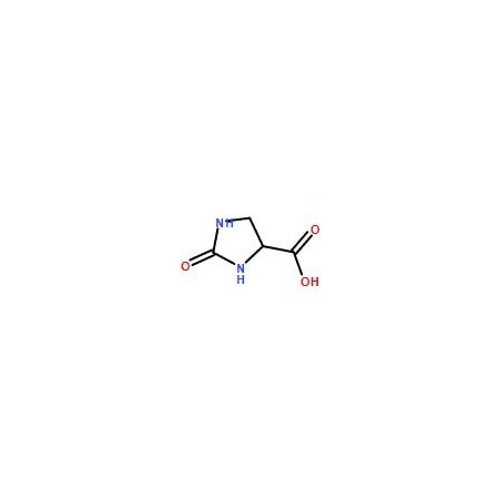 Ak Scientific 2-Oxoimidazolidine-4-carboxylic acid (2g), CAS 21277-16-7 5596AJ-2g