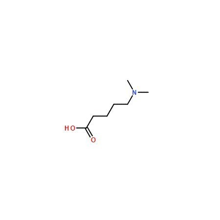 Ak Scientific 5-(Dimethylamino)pentanoic acid (10g), CAS 89855-60-7 V8850-10g