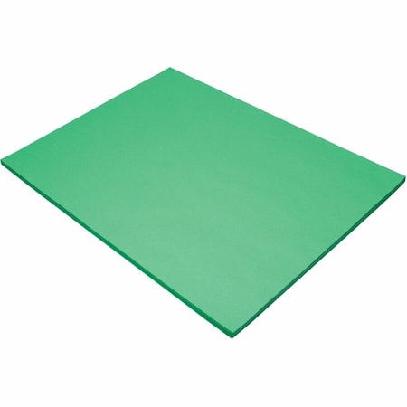 Tru-Ray Construction Paper, Festgn, 50PK PAC103070
