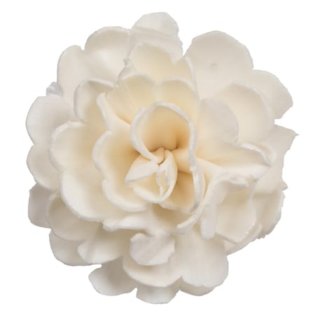 Vickerman 1-3 in. Assorted Camellia Sola Head Artificial Flowers, Natural, 24PK H7SFL044