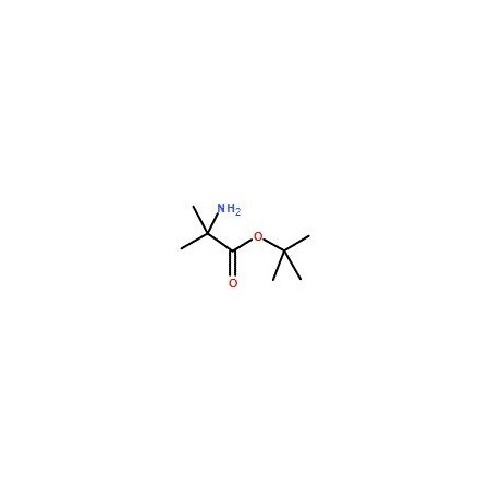 Ak Scientific alpha-Aminoisobutyric acid t-butyl ester (5g), CAS 4512-32-7 X3016-5g