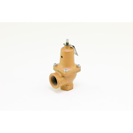 Raypak 3/4 in. 60# Relief Valve 007753F