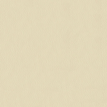 Abbeyshea Cream, Polyurethane Coated Faux Leather Fabric, 9 in L, 9 in W KENDR6003M9X9