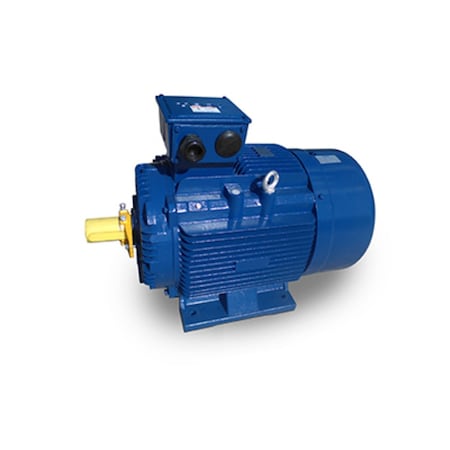 Teco 3 1800 100L MAX-IE3 Metric IEC Motor MP0034