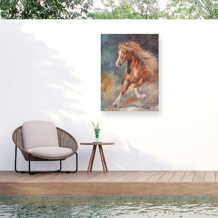 Trademark Fine Art Outdoor Canvas Art David Stribbling 'Dancing Horse' Wall Art for Patios, or Gardens GRL01620-OC2432WR