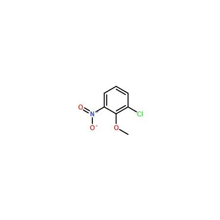Ak Scientific 2-Chloro-6-nitroanisole (1g), CAS 80866-77-9 V7835-1g