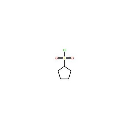 Ak Scientific Cyclopentanesulfonyl chloride (1g), CAS 26394-17-2 X4703-1g