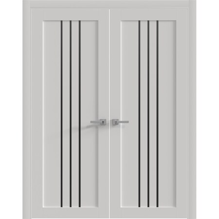 Sartodoors Interior Double Doors 36 x 96 inches, BASIC 4906 White with Black Glass, Wood Interior Solid Panel BASIC4906DD-WS-3696