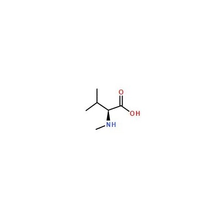 Ak Scientific N-alpha-Methyl-L-valine (5g), CAS 2480-23-1 V1647-5g