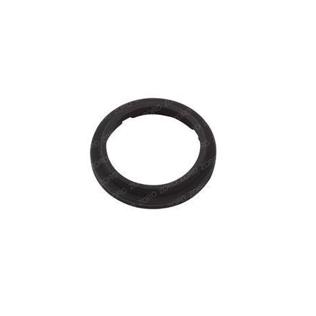 Raymond REPLACEMENT SEAL, WIPER 530-519