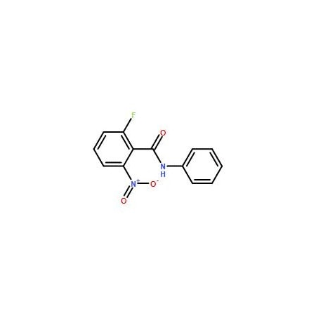 Ak Scientific 2-Fluoro-6-nitro-N-phenylbenzamide (10g), CAS 870281-83-7 9995AL-10g