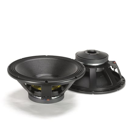 Serverusa 18 in. Woofer Raw Speaker 2000 W SE2663283