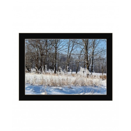 Homeroots Natures Simple Blessings 3 Black Framed Print Wall Art 407462