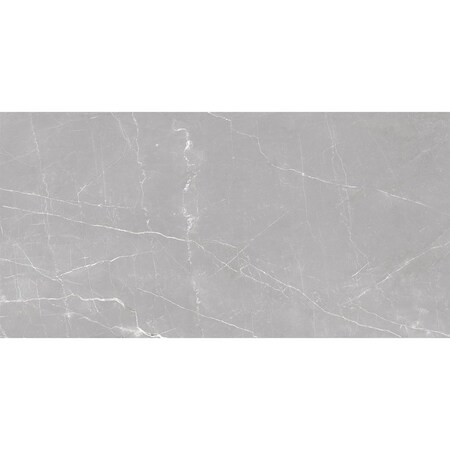 Apollo Tile Regalia 24x48 in. Ash Gray Matte Porcelain Marble-look Vein Large Tile (15.5 sq ft/case) 2PK APLVEL88CEN2448