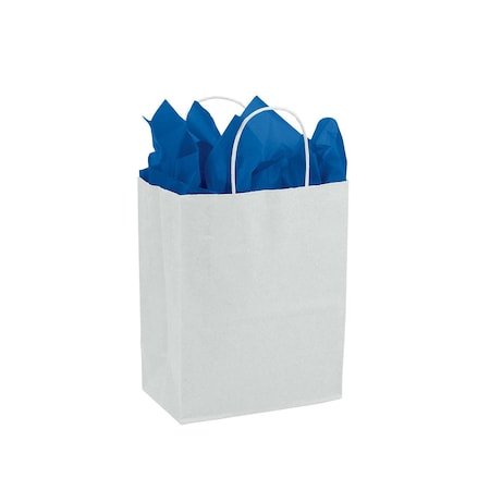 Store Supply Warehouse Medium (Cub) - Kraft Paper Shopping Bags, 250PK 92110