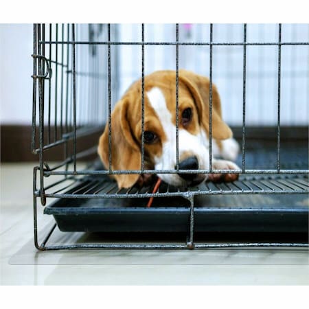 Floortex P-Tex Polycarbonate Dog Crate Floor Protector - 35" x 47" FCCAGE89ER
