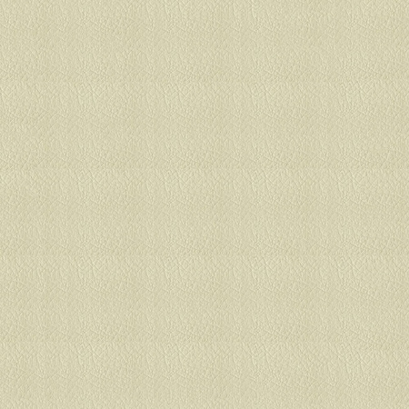 Abbeyshea Whisper, PVC Coated Faux Leather, Contract Grade, Upholstery Fabric, Bone WHISPWHI2117