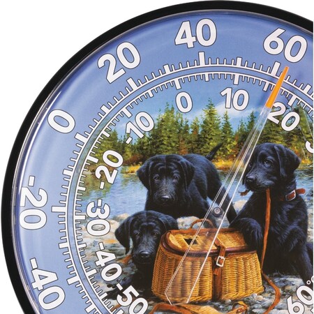 Acurite 12 Fahrenheit -60 To 140 Outdoor Wall Thermometer 01678A2