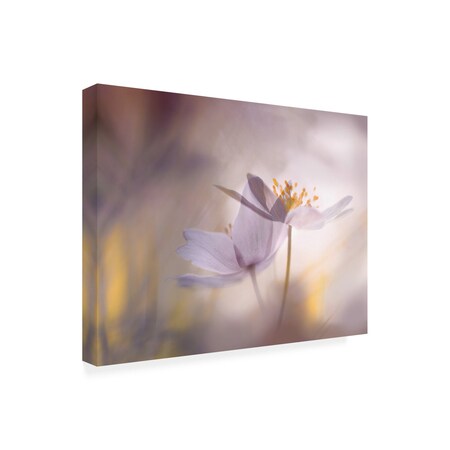 Trademark Fine Art Outdoor Canvas Art - Ylva Sjogren  'Violet Tones' Wall Art for Patios, or Gardens 1X30150-OC1824WR